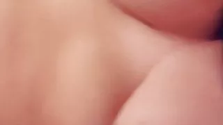 Muschi aus Cernica Rumänien