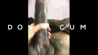 wies bbc training compilation 1