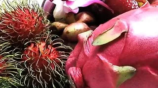 Rayskiy Gimn Katya Sambuka