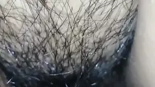 Bbw wife and her ex in my house