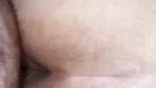 Bbw Fucked Doggy Style