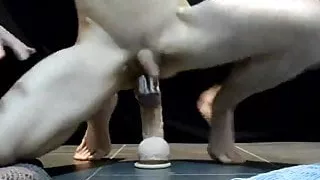 twink has fun with a large dildo.