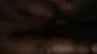 Quick play creamy sounds