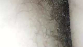 Hairy pussy 1