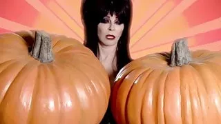 ELVIRA 2 Big Pumpkins