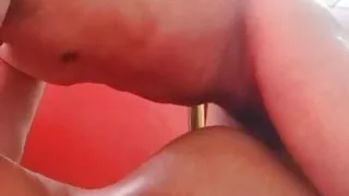 Bred by Colombian stud