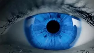 Auf der Suche nach dem Elixier mit zwei männlichen Hengsten Diego Reyes