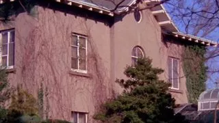 Naked Came The Stranger (35mm Remastered)