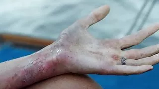 Shailene Woodley Naked & Sex Scenes