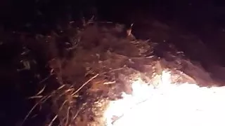 Young MILF blowjob now on fire