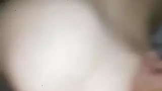 Chukam si palavata lisichka