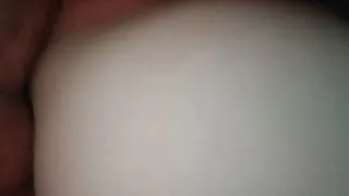 Nahaufnahme Schwanz in Muschi