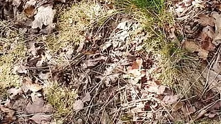 Sperma, Abspritzen, Schwuler Sex, Wald