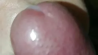 common handjob and the grand final