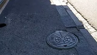 The bitch persecuted by the sexual predator