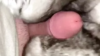 Chnchilla Fur Fetish fun - to soft to fuck this fur