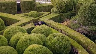 MATA HARI. Episode 7. Russian TV Series