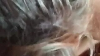 Milf bbw Jennie such a hoe