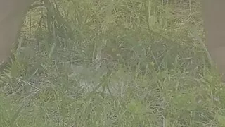 i love to pee on the grass