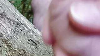 Schwuler Sex, Handarbeit, Sexmassage, Sex im Freien, Voyeursex, Wald