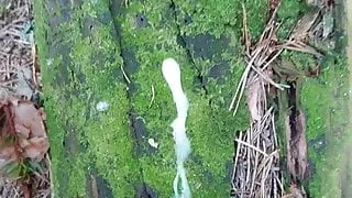 Großer Cumshot in den Wäldern