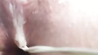 BriTheExplorer Dripping Wet