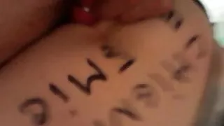 Ma chienne en double