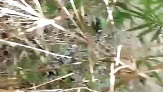 Outdoor anchors wear long skirts to seduce passers-by