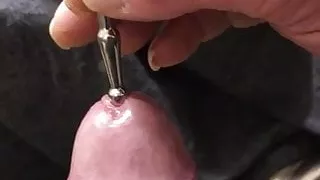 Penis Plug Schwanz spielen