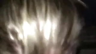 Nerdy Babe Fucked In A Park At Night