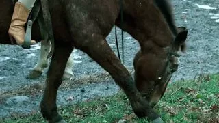 Justine A Matter of Innocence