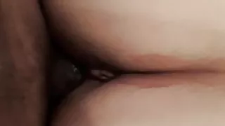 BBW BBC PAWG Wet Doggy