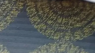 Wife's pussy pounded