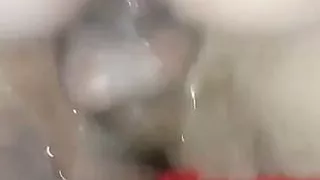 dyra isteri org curang