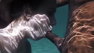 DarkX - Haley Reed Deepthroats Underwater Before Shower Fuck