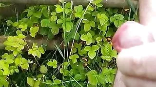 Draußen abspritzen, Carol redet schmutzig, während Dave sich einen runterholt