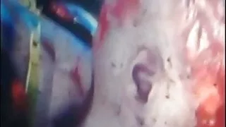 I love Stinky sex with Jenny yenny henny project freeway