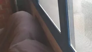 Leading the bitch in front of the window for display, 2