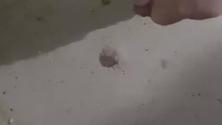 Cock out in the basement with cum