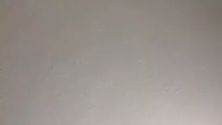 Incredible blowjob with pulsing cum in mouth