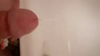 Amatööri, Homo, Masturbointi, Pieni Muna