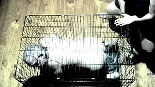 Dominatrix Mistress April, Slave Toilet