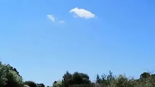 The beautiful broken ass