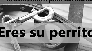 Spanish JOI - Eres Su Perrito. Puppy Play.