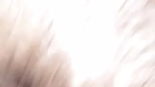 La chatte de ma pute