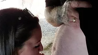 Wife blowjob under the bridge