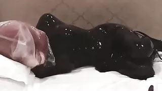 Amatérky, Anál, Ladyboy, Latex, Shemale, Malé Kozy