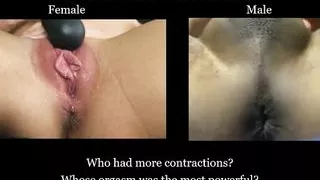 Comparison of Male and Female Orgasm