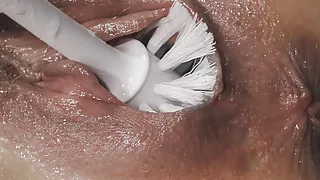 Self Cleaning - Tanita - Queensnake.com - Queensect.com