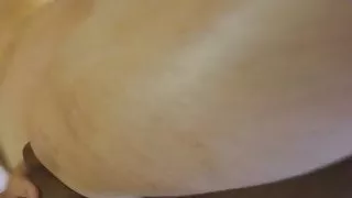 more bbw slut girlfriend  with kik bbc